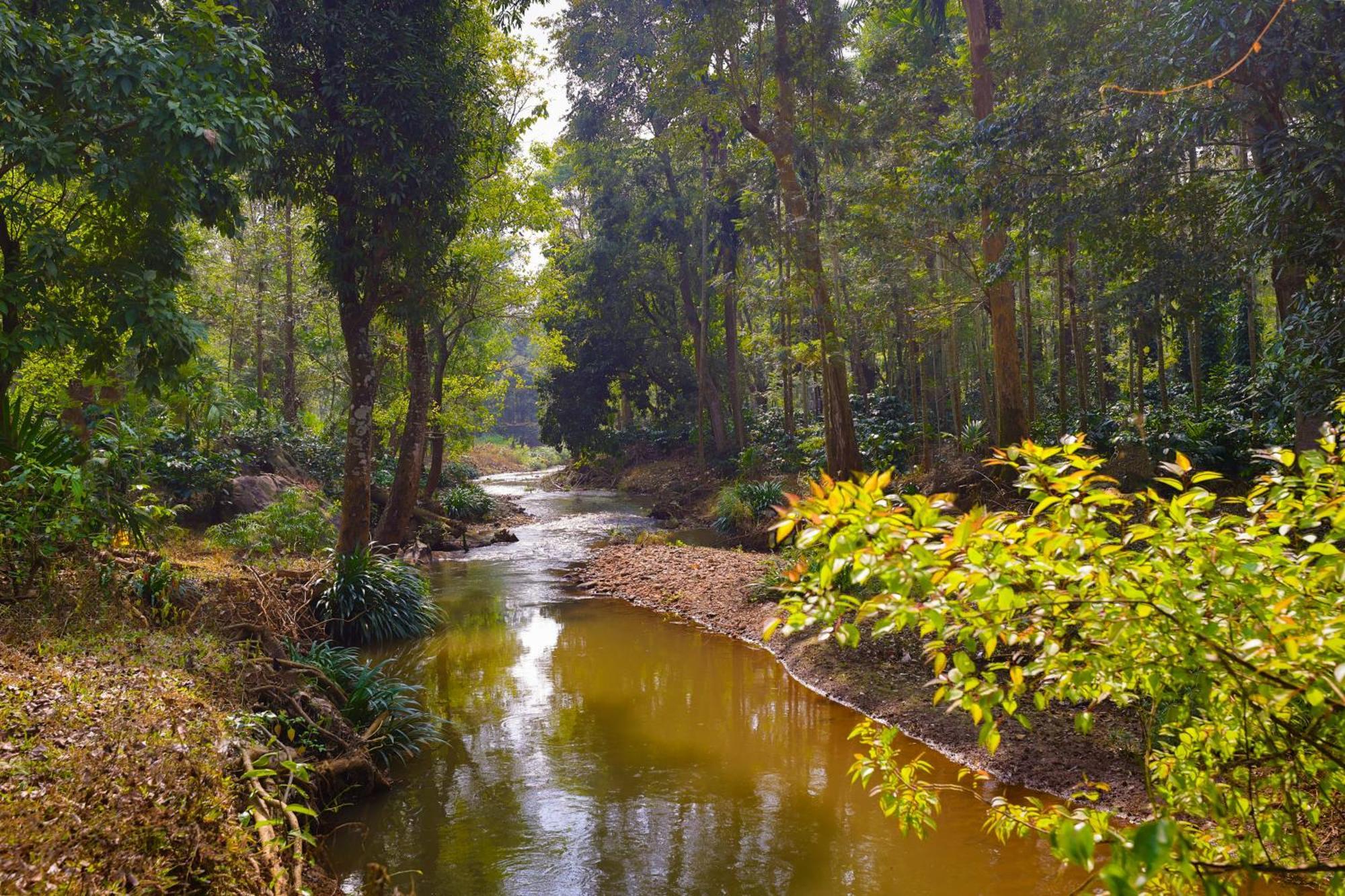The Grand Retreat - Chikmagalur Hotel Exterior foto